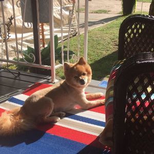 Meet your Posher, Lynnette